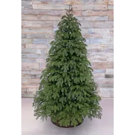 Ель Дворянская 100% литая 230 см зеленая