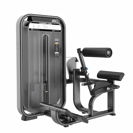 Разгибание спины DHZ Back Extension Стек 110 кг E-7031
