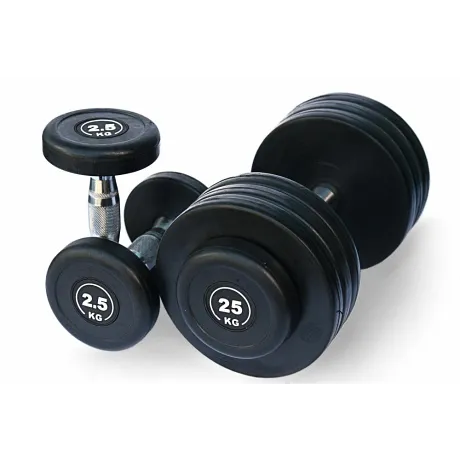 Гантельный ряд Body Solid FDS-09-2.5/30kg
