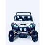 Электромобиль RiverToys BUGGY T009TT 4*4 - Фото 5